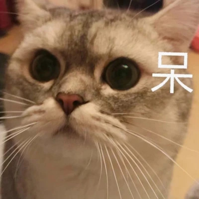2025表情图片