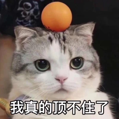 2025表情图片