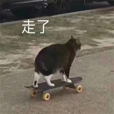 2025表情图片