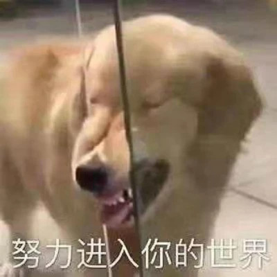 2025表情图片