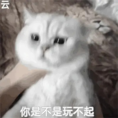 2025表情图片
