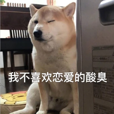 各种表情图片