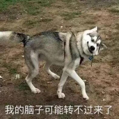 各种表情图片