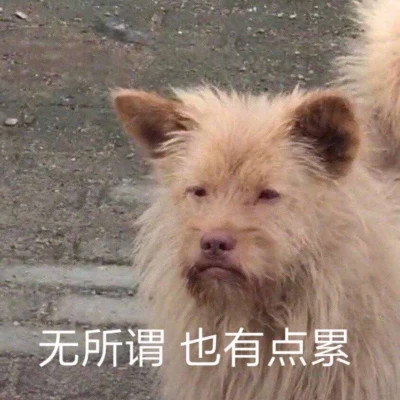 各种表情图片