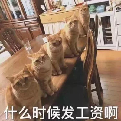 各种表情图片