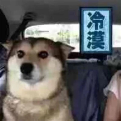2025年最火表情包