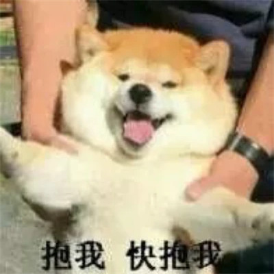 2025年最火表情包