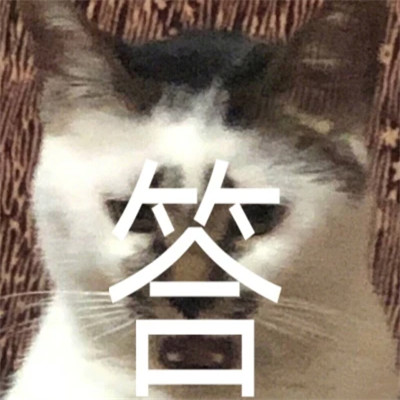 图片头像表情包