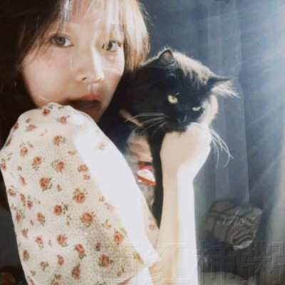 胶片质感女头青春高清