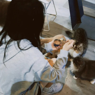 胶片高级感女头高清