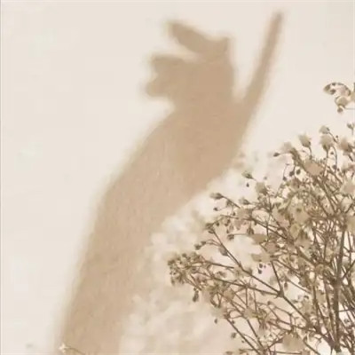 ins风清新聊天背景图片头像