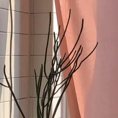 ins风清新聊天背景图片头像