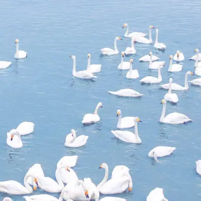 ins风清新聊天背景图片头像