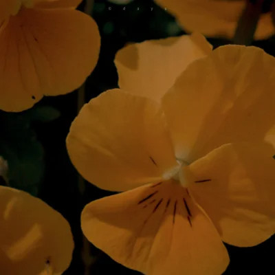 ins风清新聊天背景图片头像