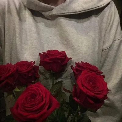 ins风清新聊天背景图片头像