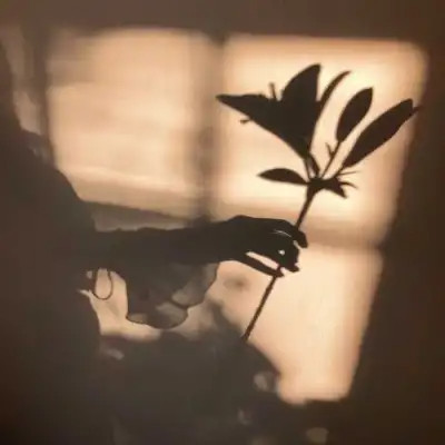 ins风清新聊天背景图片头像