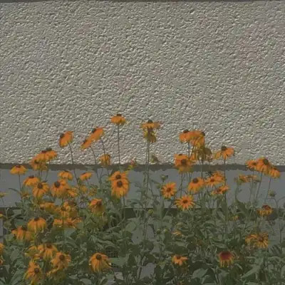 ins风清新聊天背景图片头像