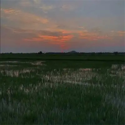 ins风清新聊天背景图片头像