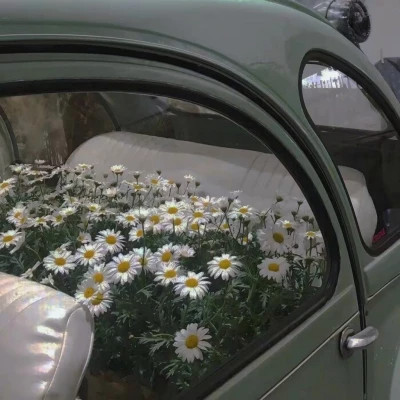 ins风清新聊天背景图片头像