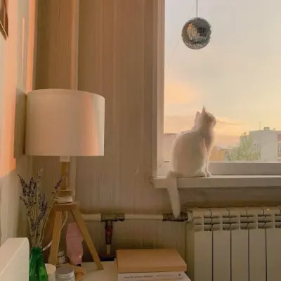 ins风清新聊天背景图片头像