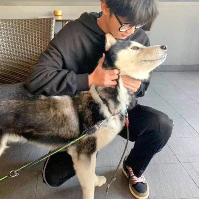 微信男生头像新款真人