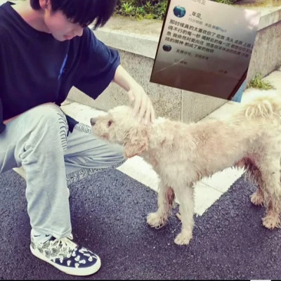 很有个性男生头像真人