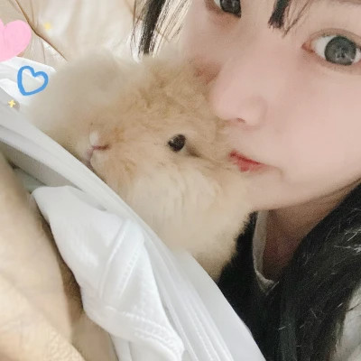 头像2025最新款图片女图