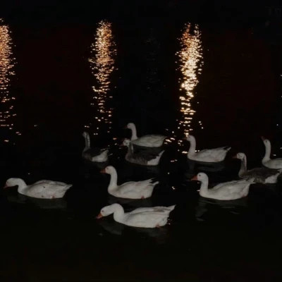 ins风高级感背景图头像