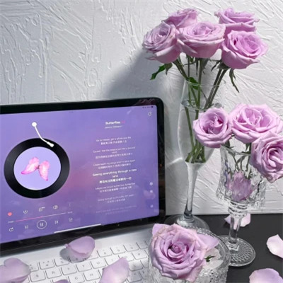 ins风高级感背景图头像