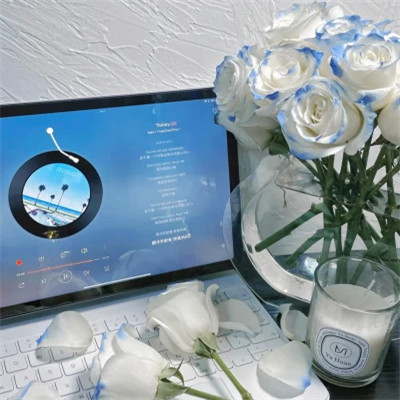 ins风高级感背景图头像