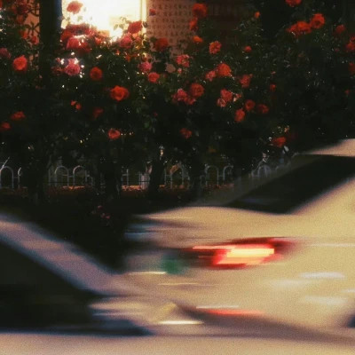 ins风高级感背景图头像