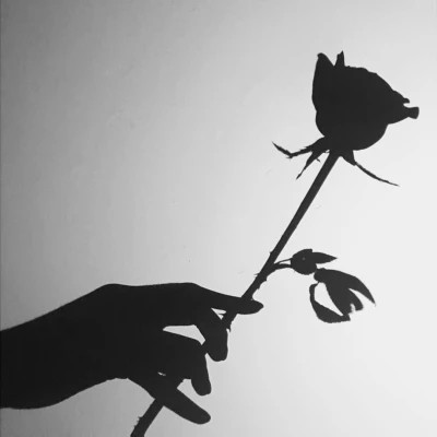 2026高清ins背景图片头像