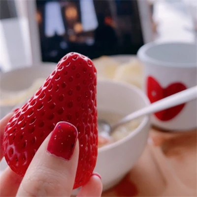 2026高清ins背景图片头像