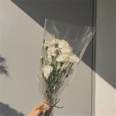 2026高清ins背景图片头像