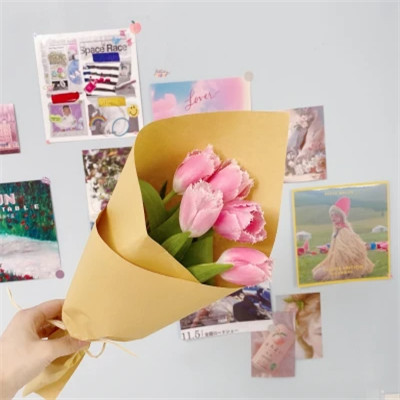 2026高清ins背景图片头像