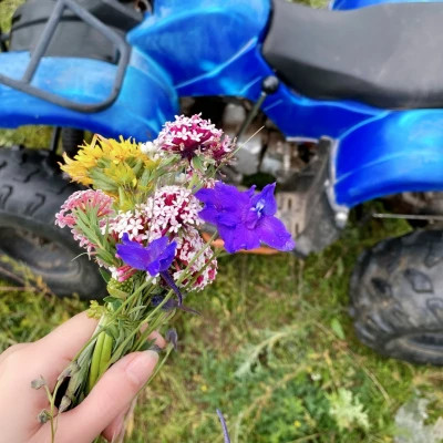 2026高清ins背景图片头像