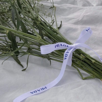 2026高清ins背景图片头像