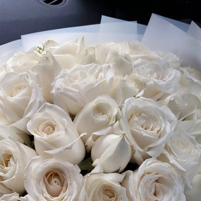 2026高清ins背景图片头像