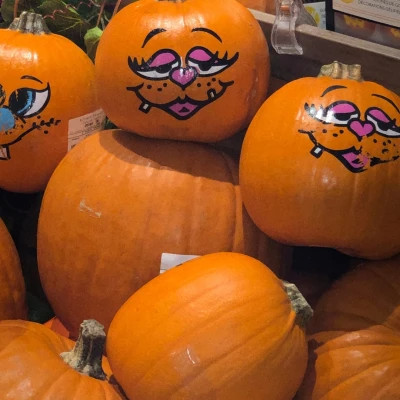 2026高清ins背景图片头像