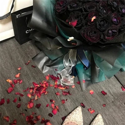 2026高清ins背景图片头像