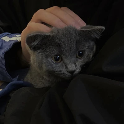 2026高清ins背景图片头像