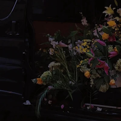 2026高清ins背景图片头像