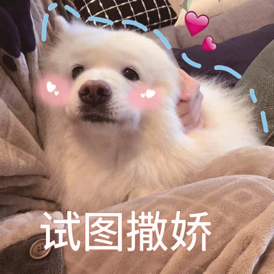 2025表情包搞笑沙雕头像