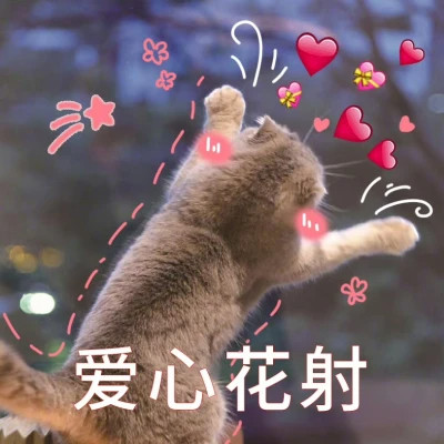 2025表情包搞笑沙雕头像