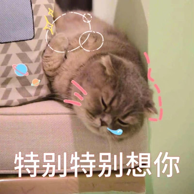 2025表情包搞笑沙雕头像