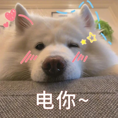 2025表情包搞笑沙雕头像