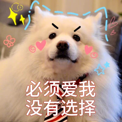 2025表情包搞笑沙雕头像