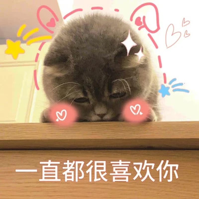 2025最火搞笑图片头像
