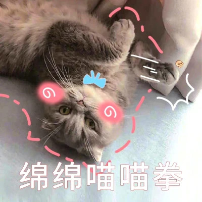 2025最火搞笑图片头像