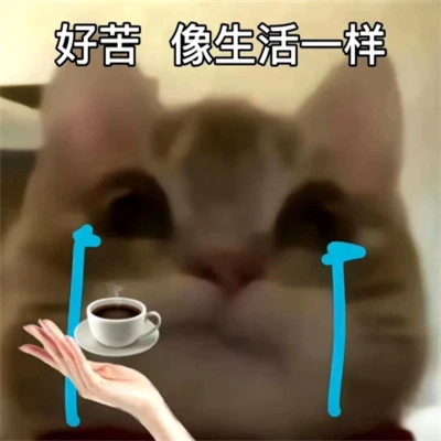 2025最火搞笑图片头像